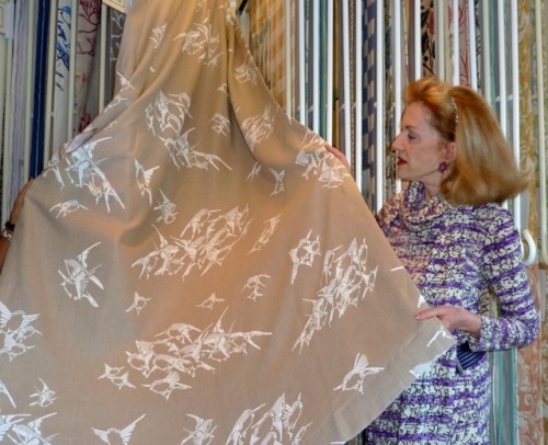 Tania Vartan showing Japanese Sparrows