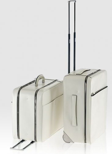 V6A 52 carry on with wheels and 51 overnight bag with wheels