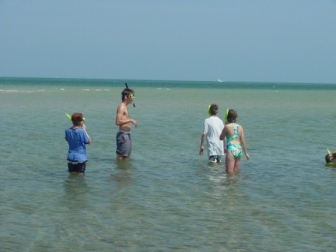 eco investigators snorkeling