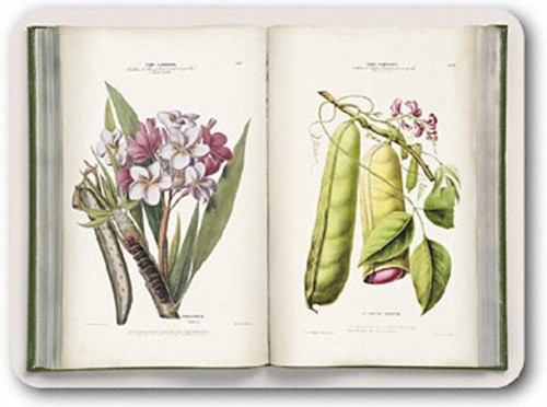 yhst-60344617947577_2119_3373082