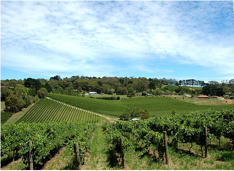 Screen shot 2011-01-04 at 9.56.59 PM