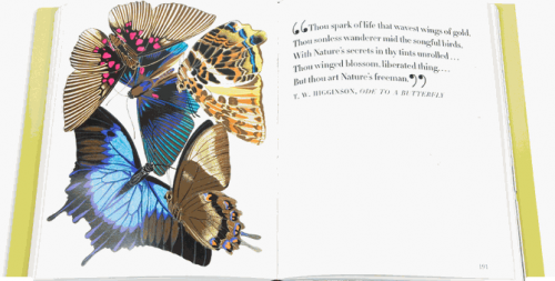 Screen shot 2011-02-09 at 10.27.28 PM