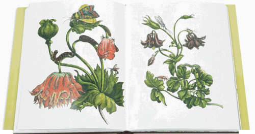 Screen shot 2011-02-09 at 10.28.34 PM