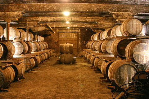 barrels cognac 101