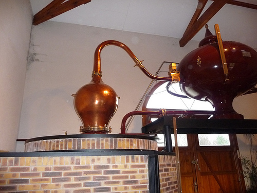 cognac-still cognac 101