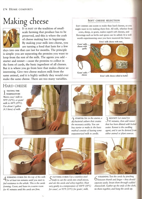 making cheese making cheese in country life