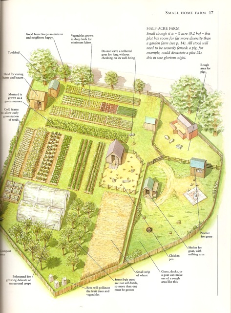 small home farm small home farm in country life