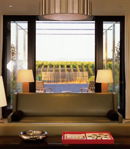 wine tasting room vineyard view