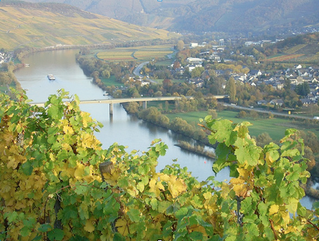 Screen shot 2011-06-01 at 8.26.13 PM