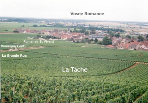 Screen shot 2011-06-14 at 9.16.23 PM