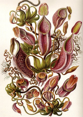 images-1.inc.php BlogTour