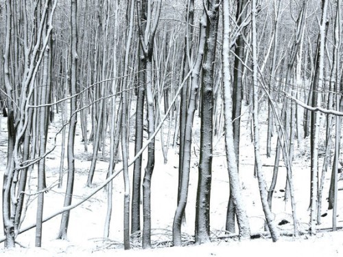 images.inc.php BlogTour