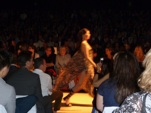 zebra movement at kors