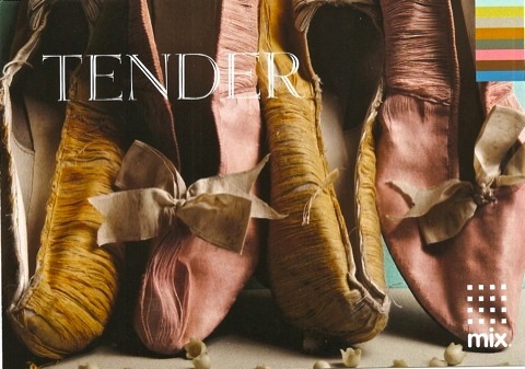 Global Color Research Tender