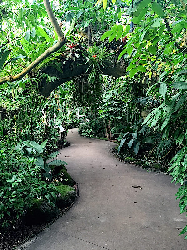 NYBG Orchidelirium Orchid Show