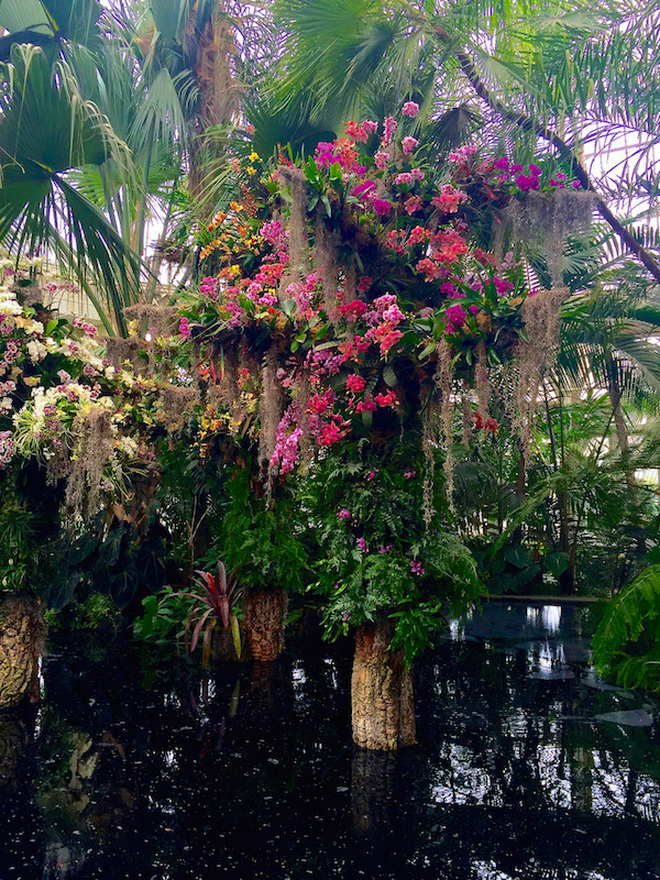 Reflecting pool at the 2016 NYBG Orchid Show