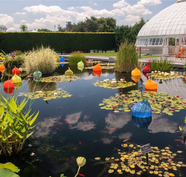 2006 Dale Chihuly’s Walla Wallas at the NYBG