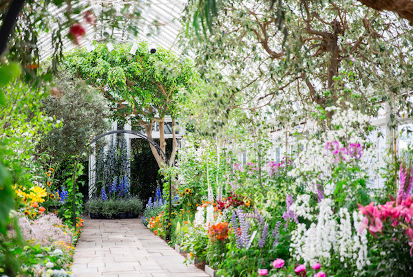 Impressionism at the New York Botanical Garden