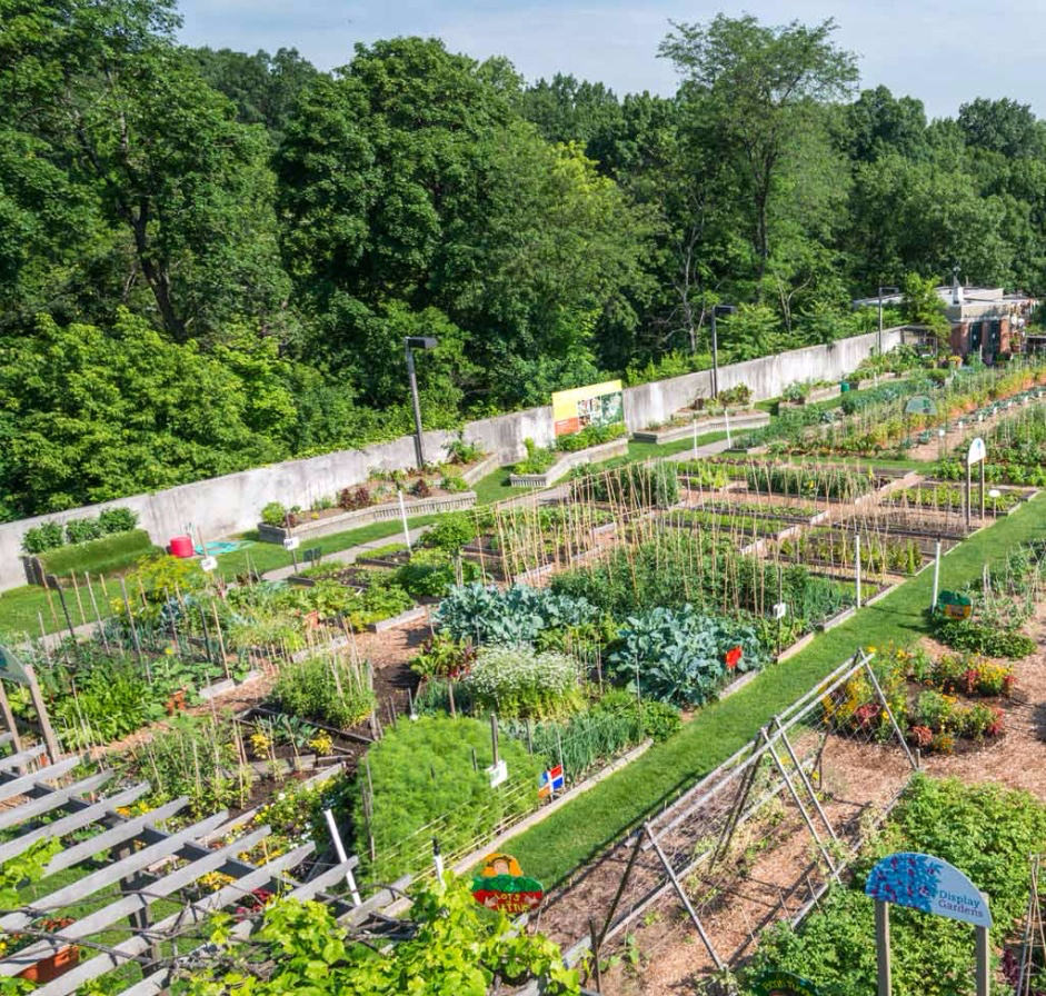 Ruth Rea Howell Family Garden at the NYBG