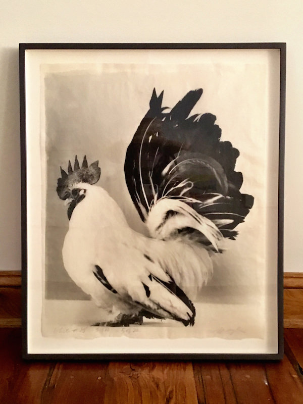 Jean Pagliuso at Seaman Schepps Nantucket