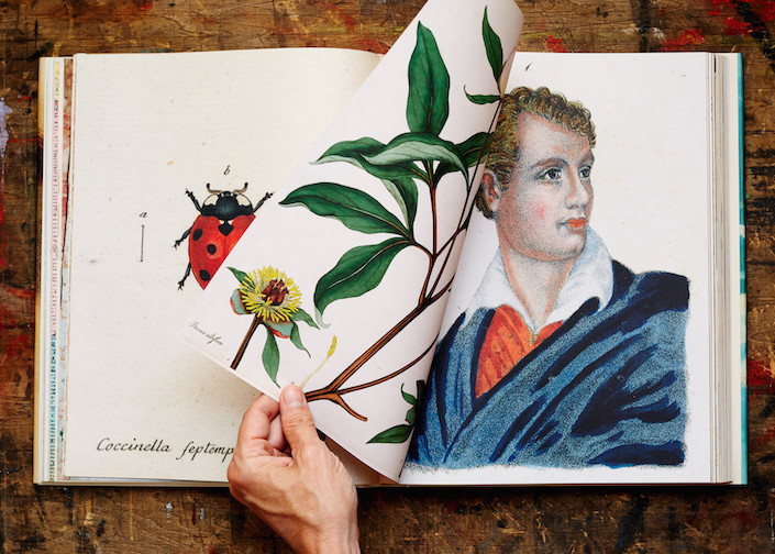 John Derian Picture Book - Quintessence