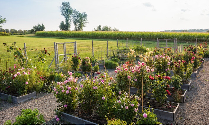katie-ridder-and-peter-pennoyer-a-house-in-the-country-garden-photo-by-eric-piasecki