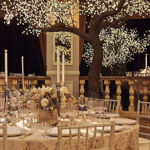 David Monn winter white wedding at the Pierre-1