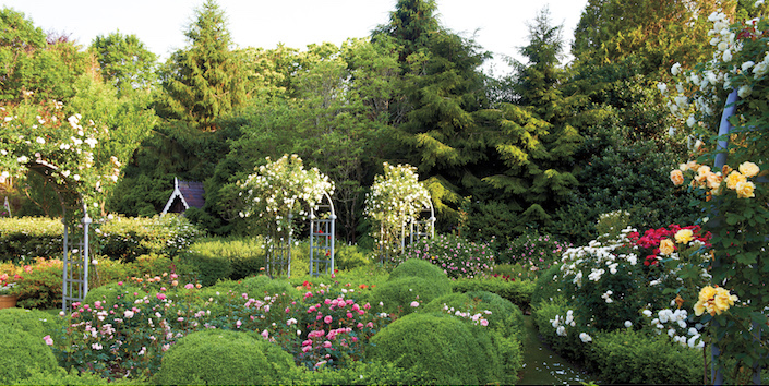 The Garden of Peter Marino