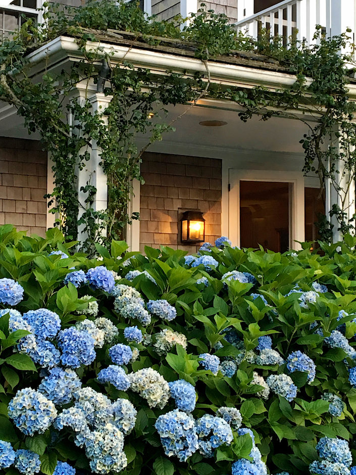 Nantucket by Design VIP cocktail party 2017-1