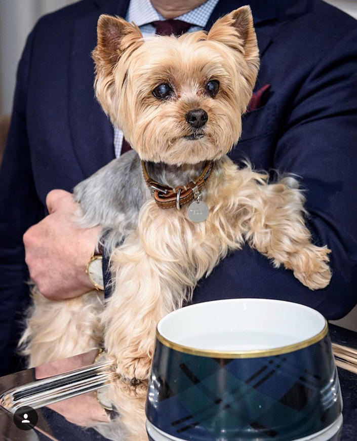 Teddy Papachristidis at Ralph Lauren Home for At Home with Dogs and Their Designers book party-1