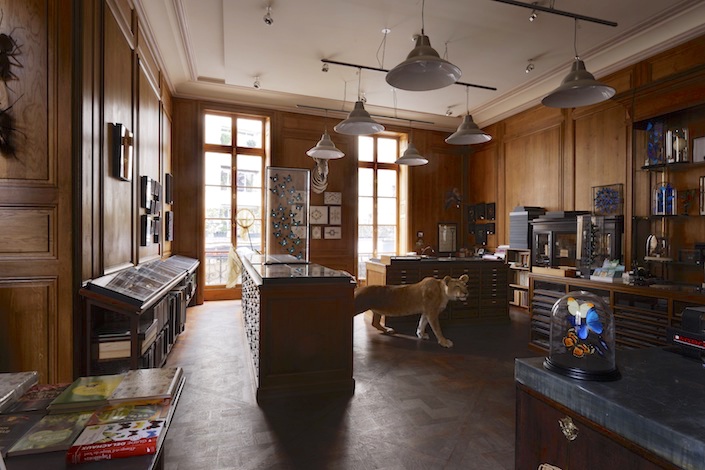 Deyrolle a Cabinet of Curiosities, photo Francis Hammond