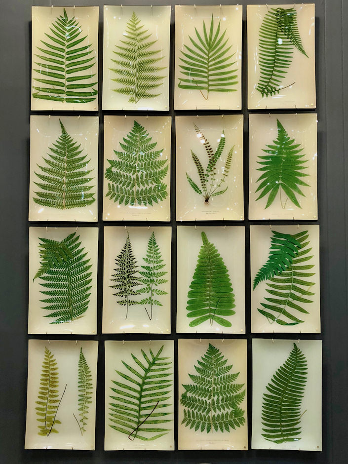 John Derian fern decoupage at NY Now Spring 2018