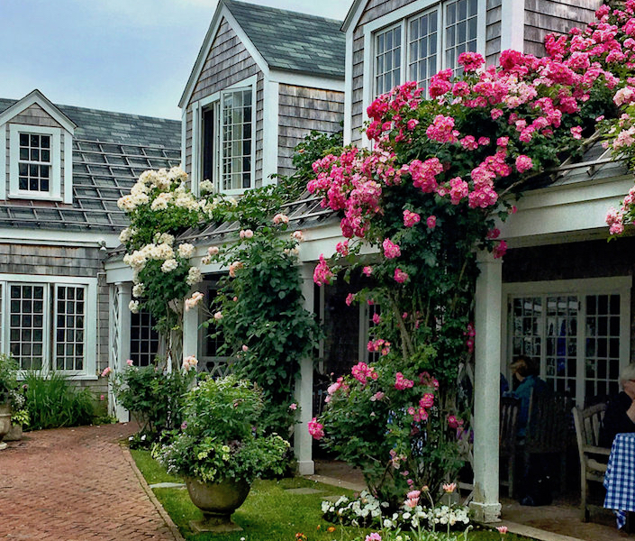 nantucket highlights via Quintessence