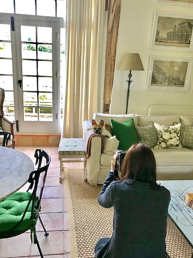 Stacey Bewkes of Quintessence shooting Paolo Moschino dog