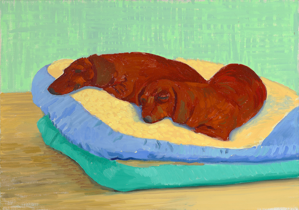 David Hockney, Dog Painting 19, 1995 © David Hockney. Photo Credit_ Richard Schmidt Collection The David Hockney Foundation