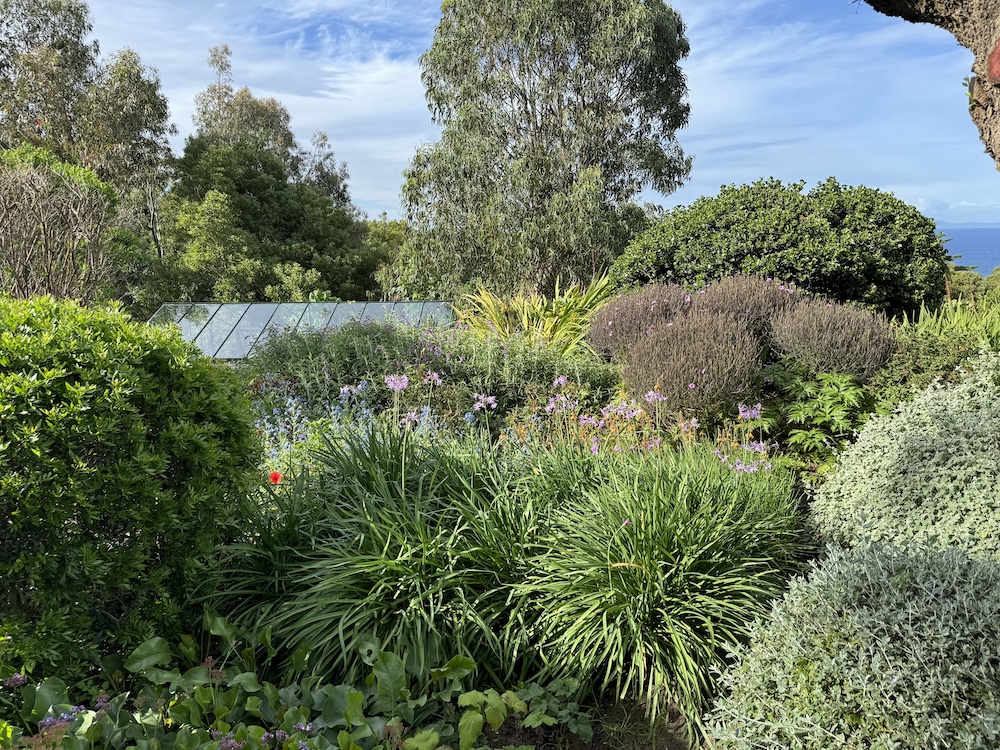 Veere Greeney Tangier gardens via Quintessence
