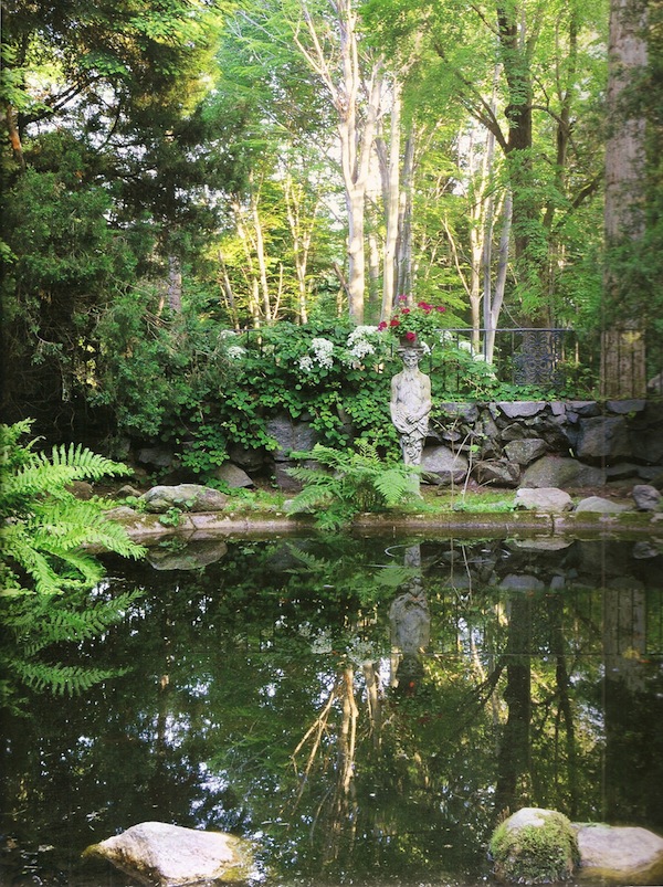In the Garden with Stacy Bass
