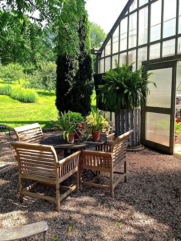 Bunny Williams' greenhouse Bunny williams