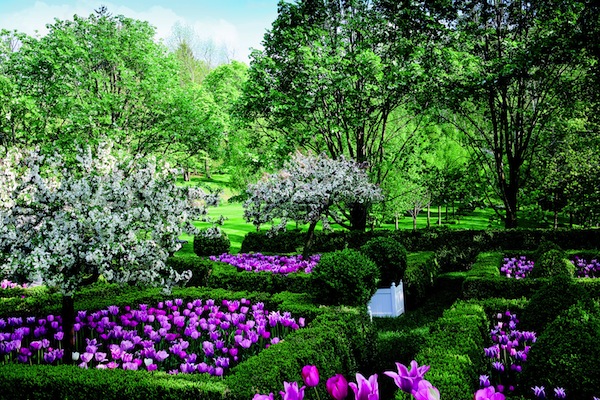 Carolyne Roehm tulip gardens in Connecticut Carolyne Roehm