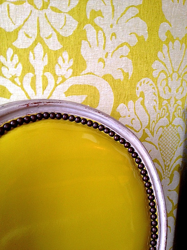 alessandra branca designer visions