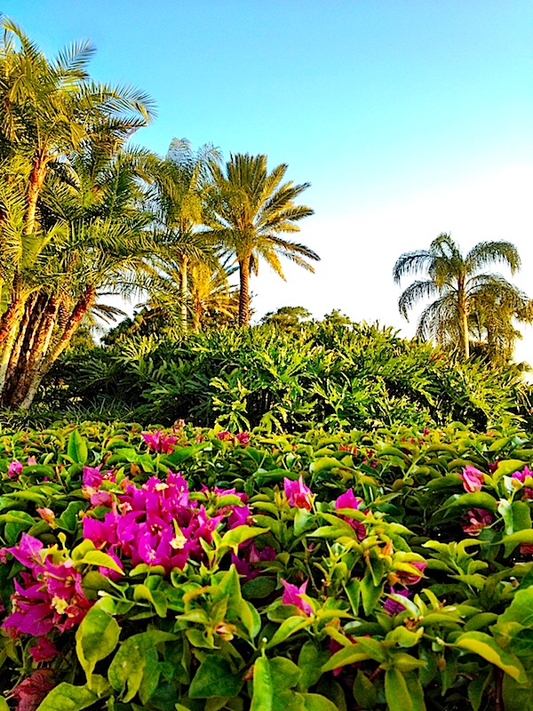 spring break in Florida spring break in Florida