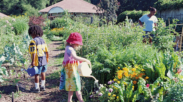 NYBG edible academy