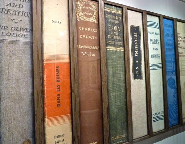 Natural-Curiosities-Book-Collection