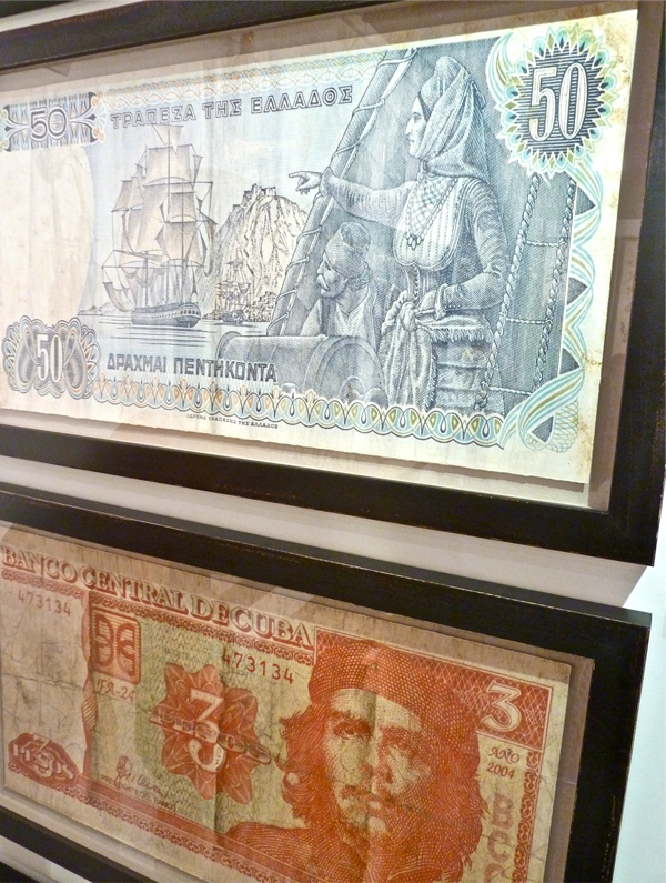 Natural-Curiosities-Currency-Project