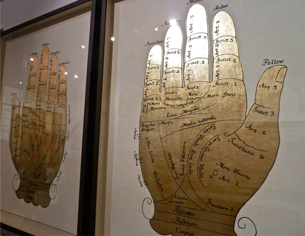 Natural-Curiosities-Gallica-Hands