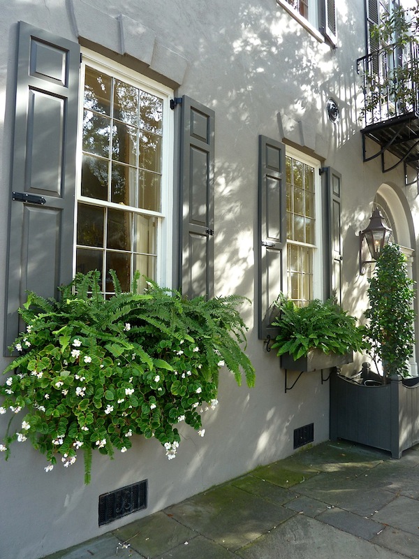 window boxes