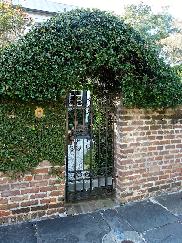 ivy clad entry
