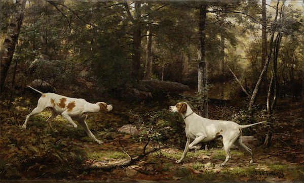 Bonhams Dogs in Show & Field