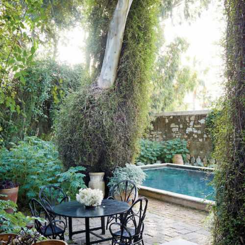 Umberto Pasti in Tangier, photograph by Ngoc Minh Ngo for T magazine