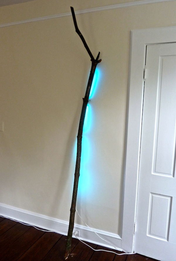 Interior Designer Victoria Lyon LED light Bartlett Arboretum showhouse